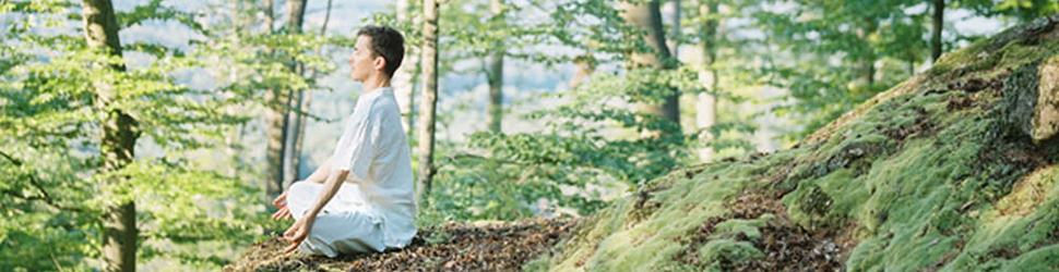 Elsass - Shirin Yoku, Achtsames "Waldbaden" & Stressabbau in der Stille