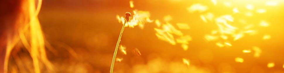 Wattenmeer - Pilates & Faszien – wenn der Körper wieder atmet...