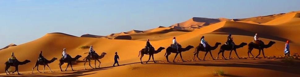 Wüstenzauber - Sinnliche Kamelwanderung durch die nördliche Sahara