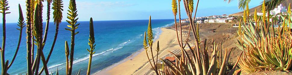 Fuerteventura - Bezauberndes Yoga & Pilates unter der warmen kanarischen Sonne