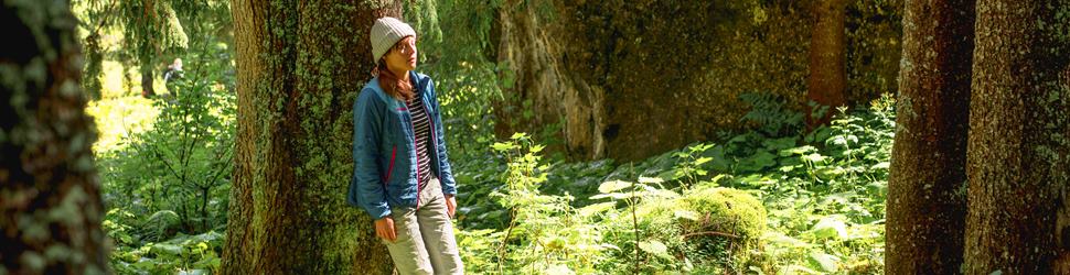 Saanenwald Gstaad (BE) - Auszeit im Shinrin-Yoku Retreat zur Entschleunigung in der Natur