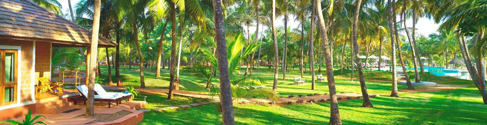 Kerala – Ayurvedische Königsdisziplin an Südindiens schönstem Palmenstrand