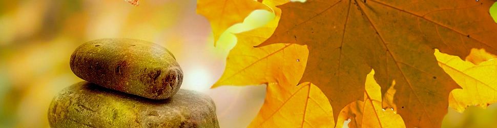 Elsass - Leben wie Gott in Frankreich. Genussvolles Wohlfühlen im Zauberwald